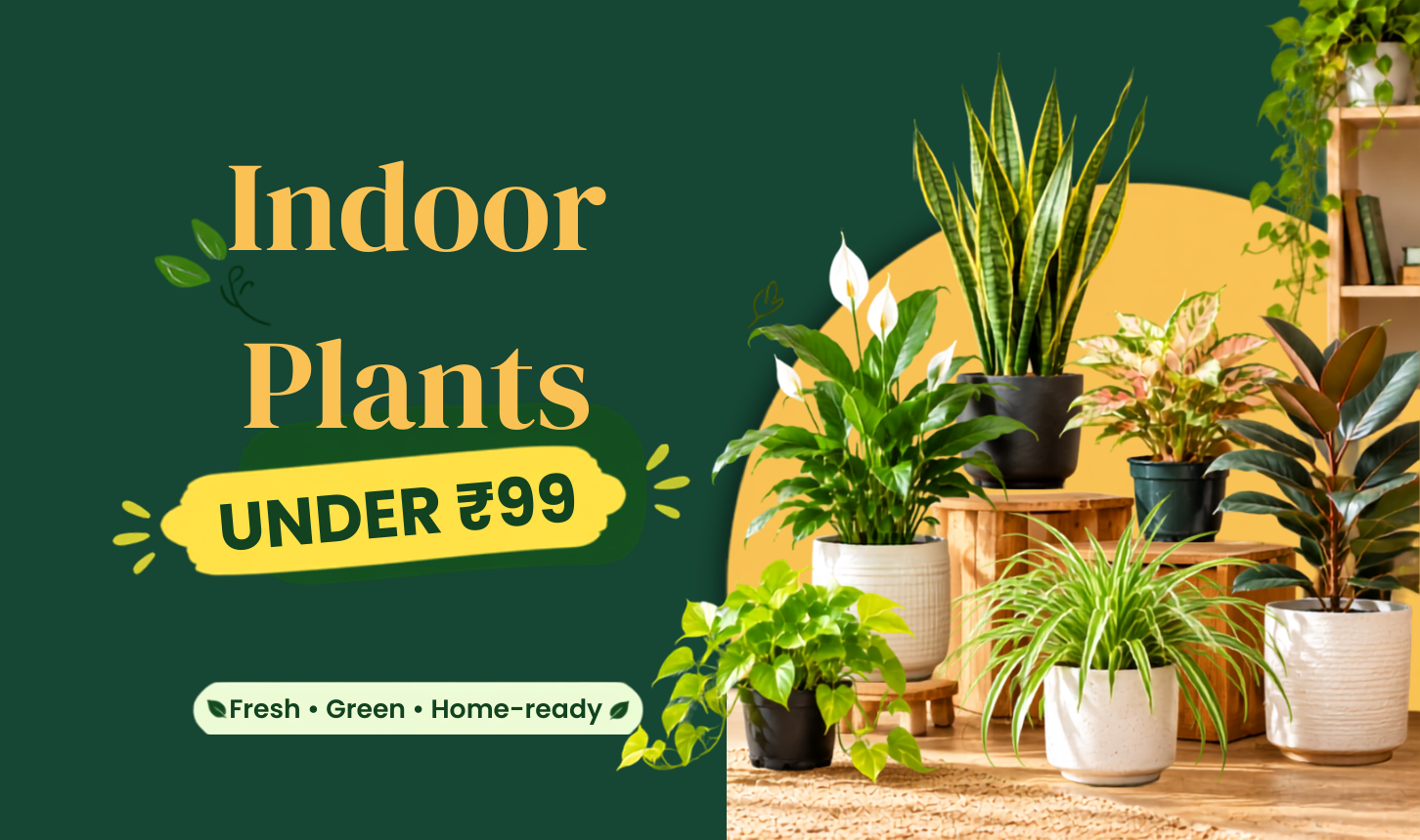 Indoor Plants under ₹99